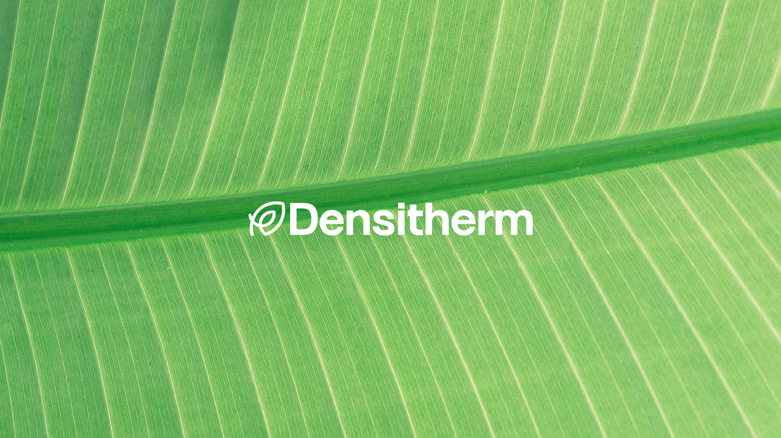 Logo Densitherm fond photo