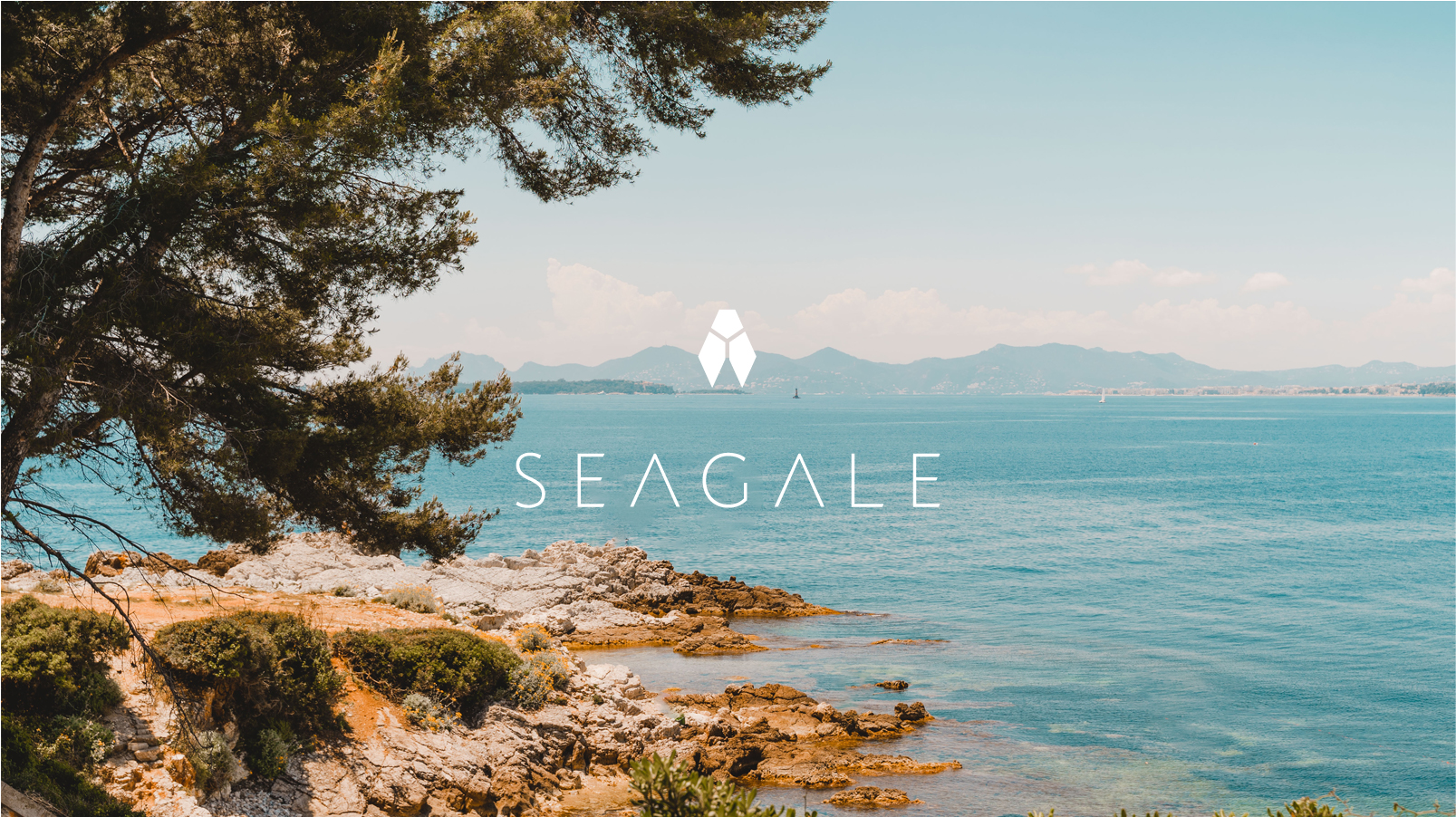 Logo Seagale fond photographique
